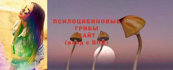 PSILOCYBIN Баксан