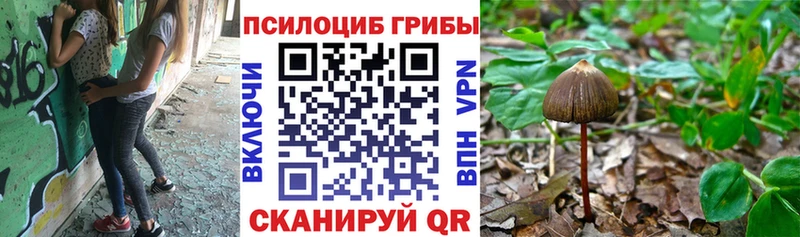 ОМГ ОМГ как зайти  Колпашево  Псилоцибиновые грибы Magic Shrooms 